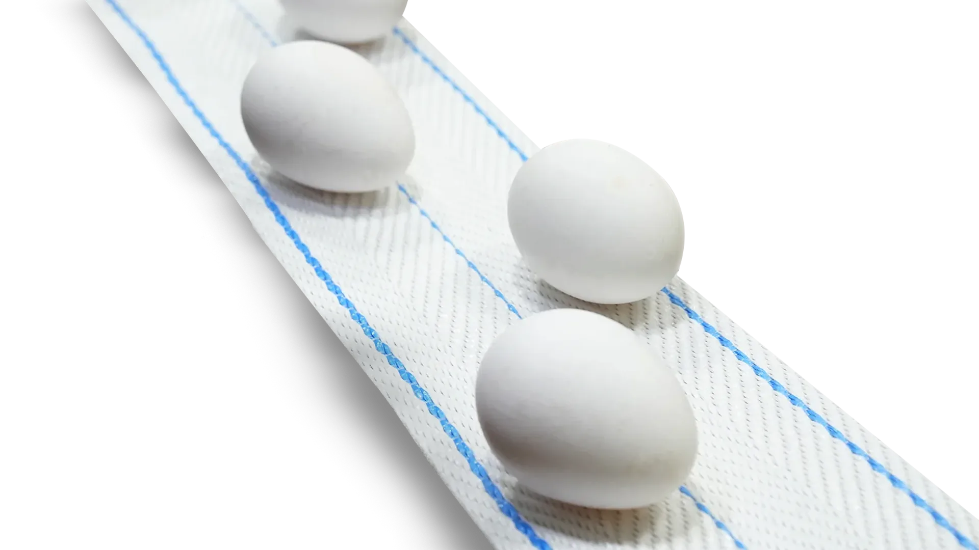 Yumurta Taşıma Bandı